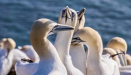 嵊州高价上海医保提取2025的最新政策(2025年嵊州上海医保怎么提取现金分享)