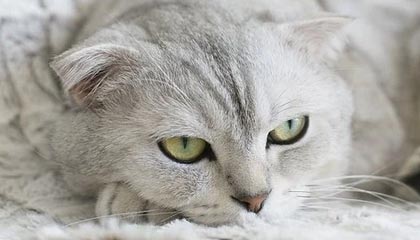 嵊州高价找中介10分钟提取医保武汉的最新政策(2025年嵊州武汉中介提取公积金分享)