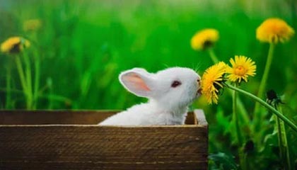 嵊州高价上海医保提取2025的最新政策(2025年嵊州上海医保怎么提取现金分享)